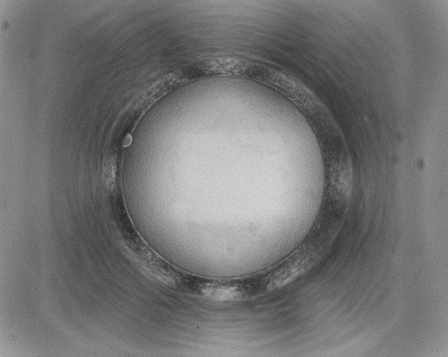 X0000081280602200701251630