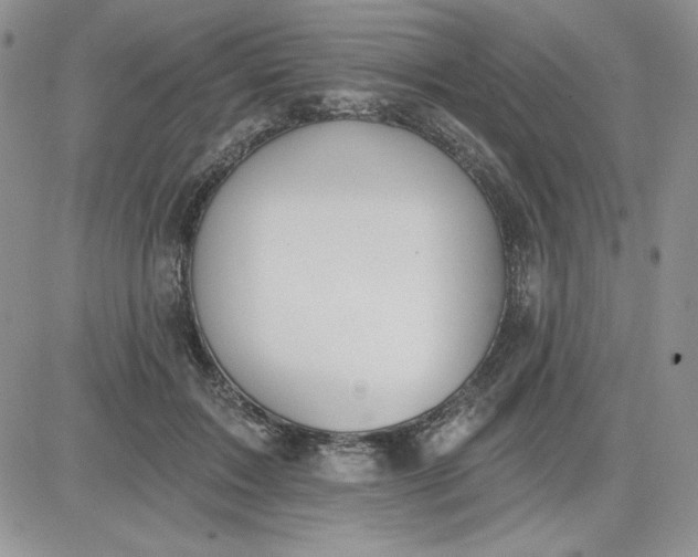 X0000081280603200701251630