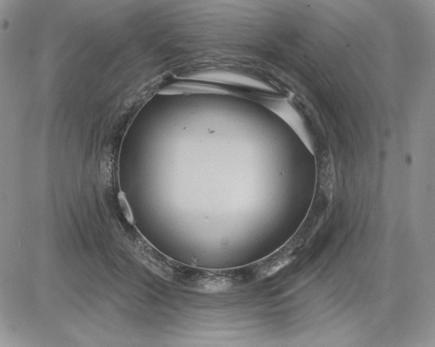 X0000081280604200701251630