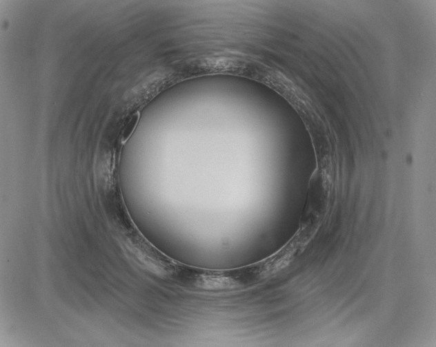 X0000081280605200701251630