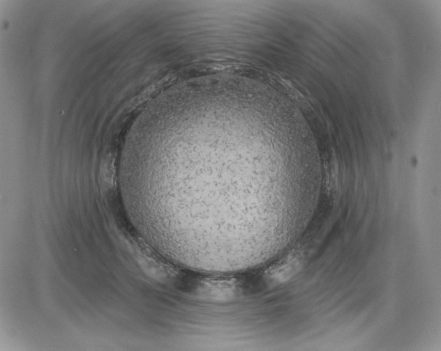 X0000081280606200701251630