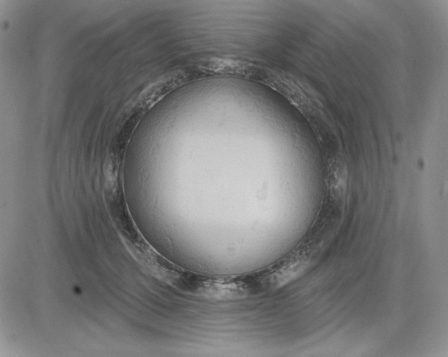 X0000081280607200701251629