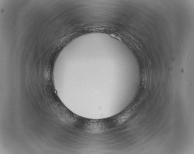 X0000081280608200701251629