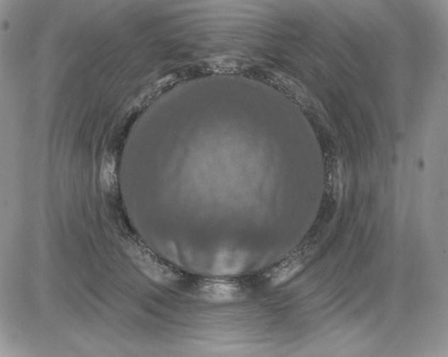 X0000081280610200701251629