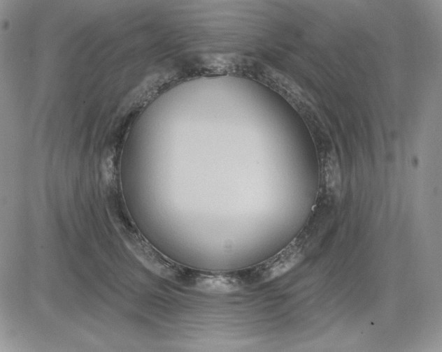 X0000081280611200701251629