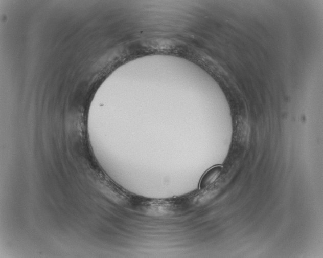 X0000081280612200701251629