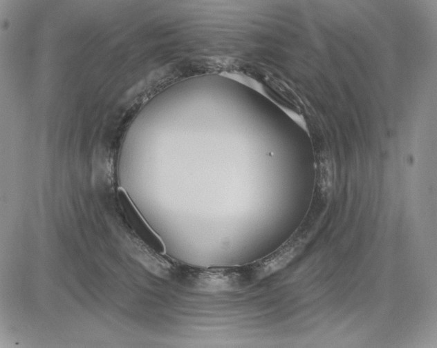 X0000081280613200701251629