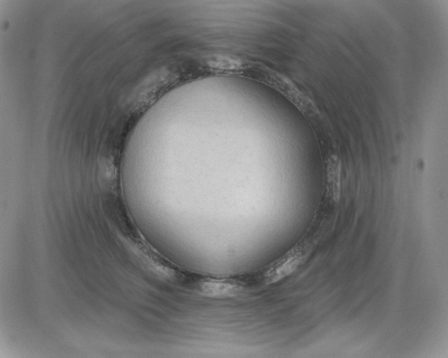 X0000081280614200701251629