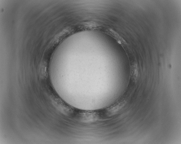 X0000081280615200701251629