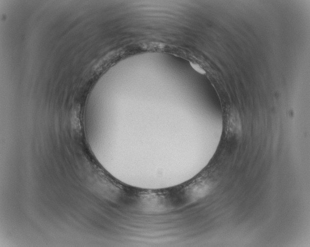 X0000081280616200701251629