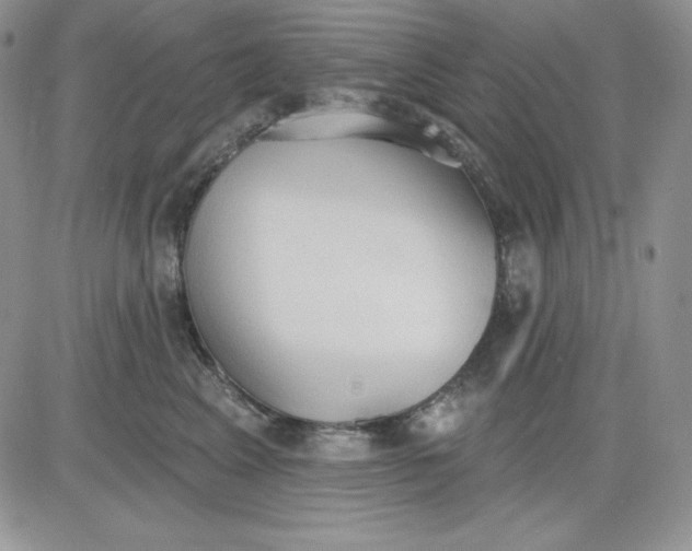 X0000081280617200701251629