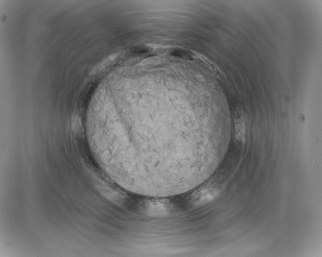 X0000081280618200701251629