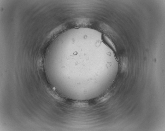 X0000081280619200701251629