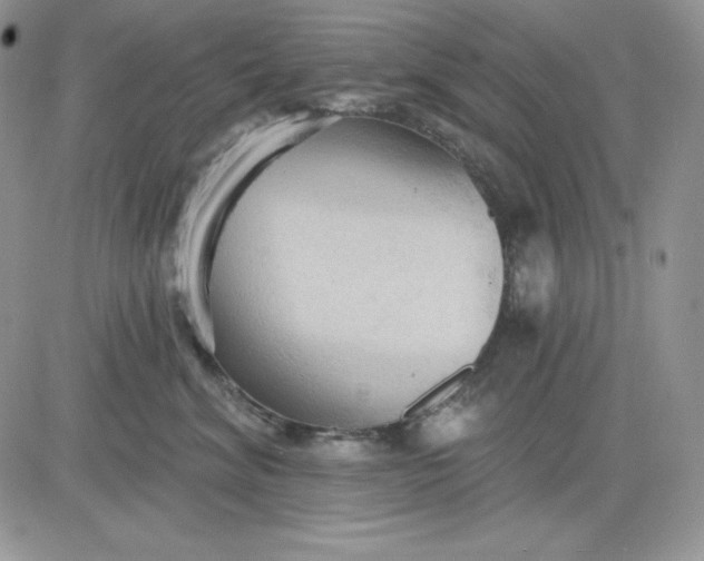 X0000081280620200701251629