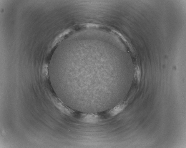 X0000081280621200701251629