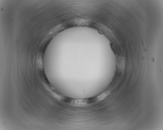 X0000081280622200701251629