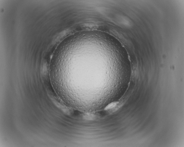 X0000081280623200701251629