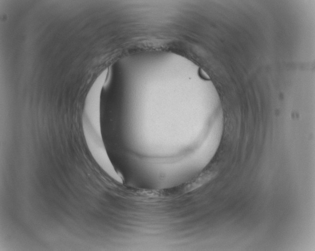 X0000081280624200701251629