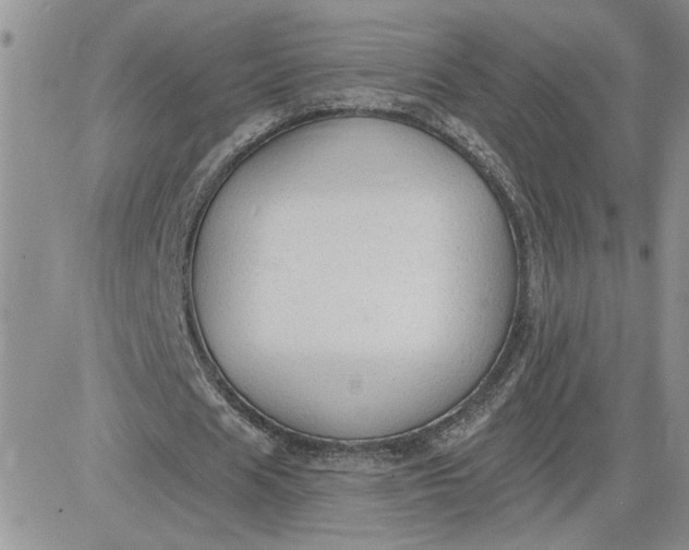 X0000081280625200701251628