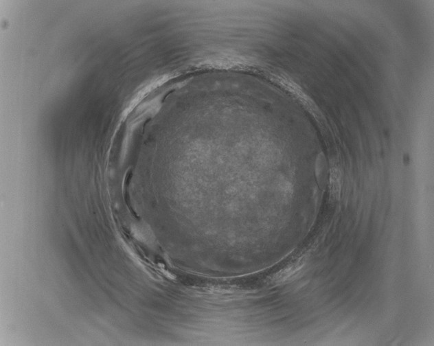 X0000081280626200701251628