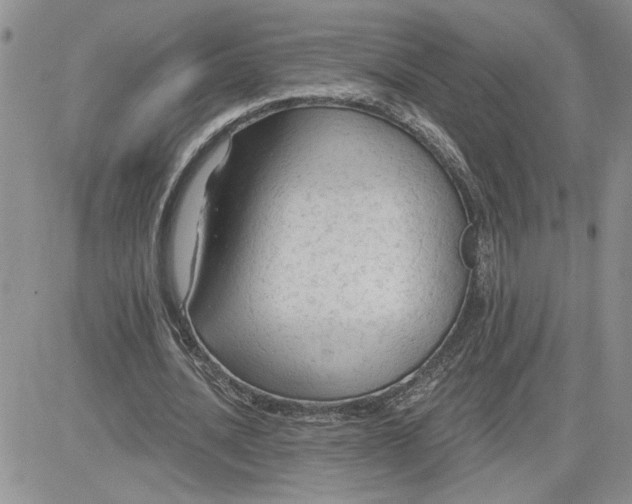 X0000081280628200701251628