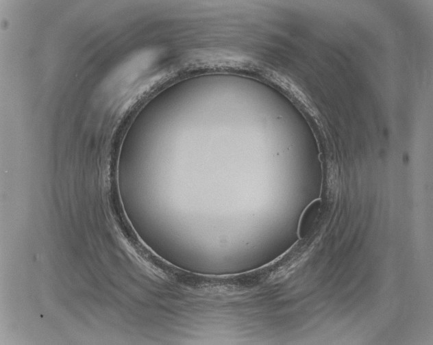 X0000081280629200701251628