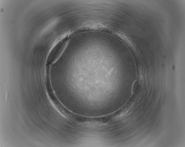 X0000081280630200701251629