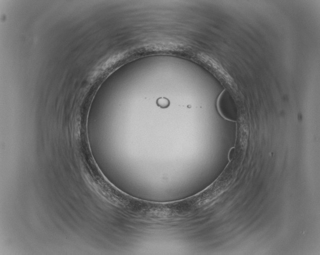 X0000081280631200701251629