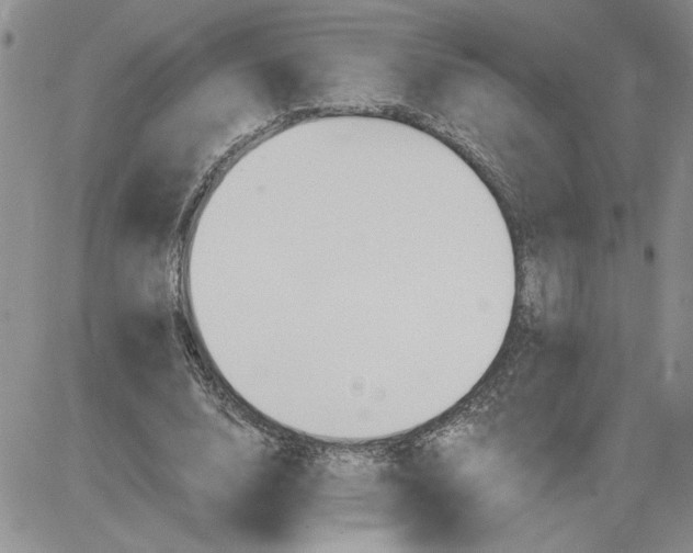 X0000081280632200701251629