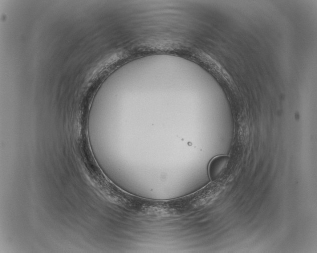 X0000081280635200701251629