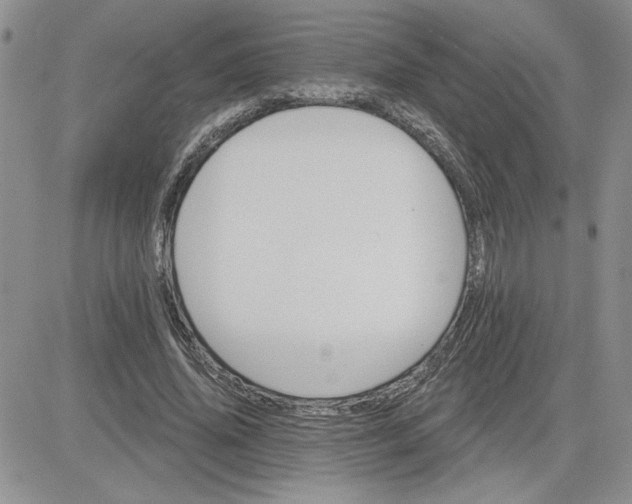 X0000081280636200701251629