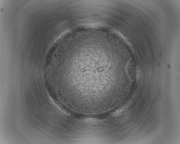 X0000081280637200701251629