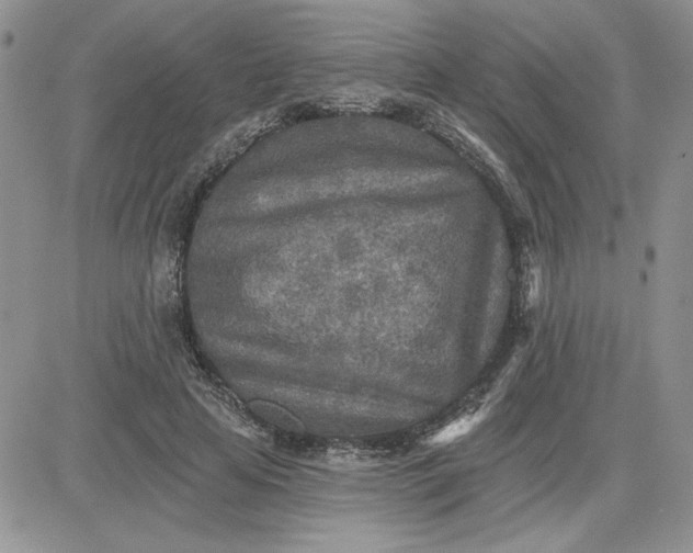 X0000081280641200701251629