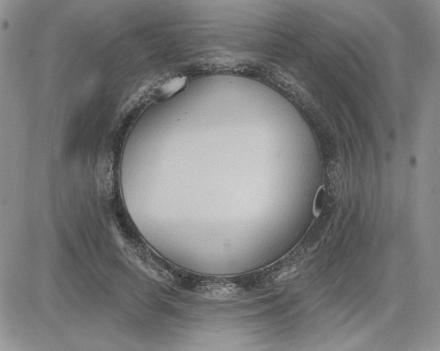 X0000081280642200701251629