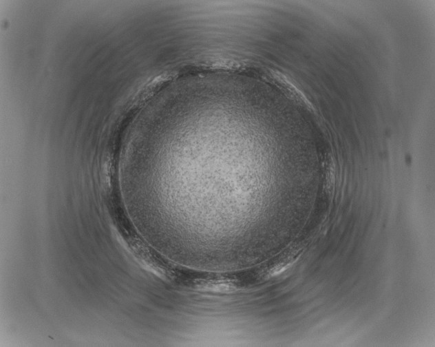 X0000081280643200701251629