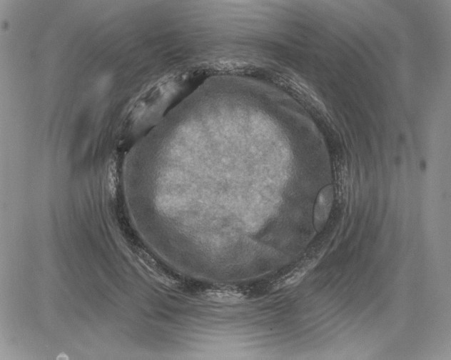 X0000081280644200701251629