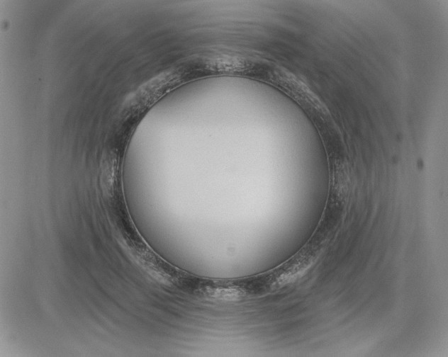 X0000081280645200701251629