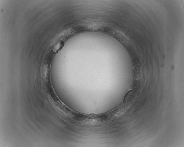 X0000081280646200701251629