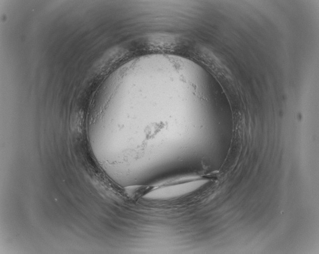 X0000081280649200701251629