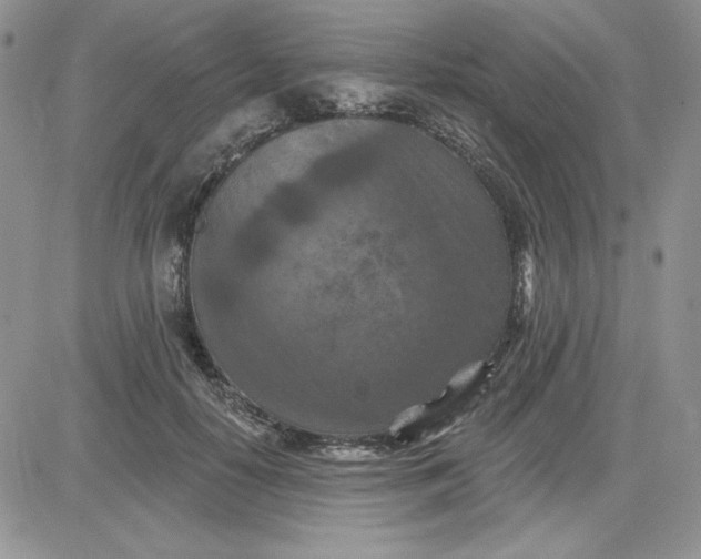 X0000081280650200701251629