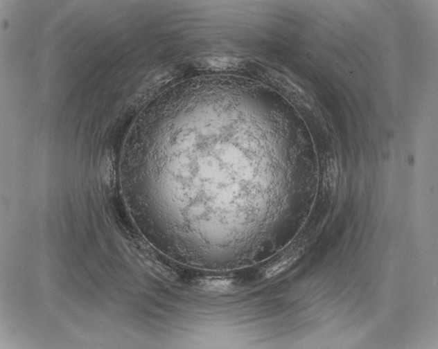 X0000081280651200701251629