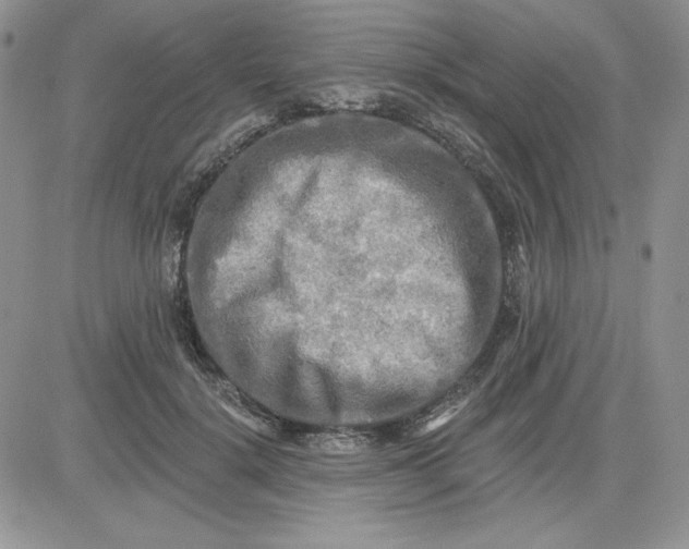 X0000081280652200701251629