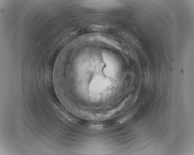 X0000081280653200701251629