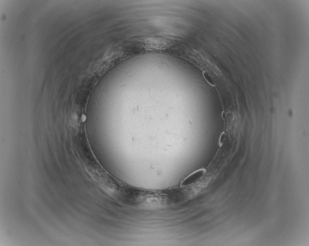 X0000081280655200701251629