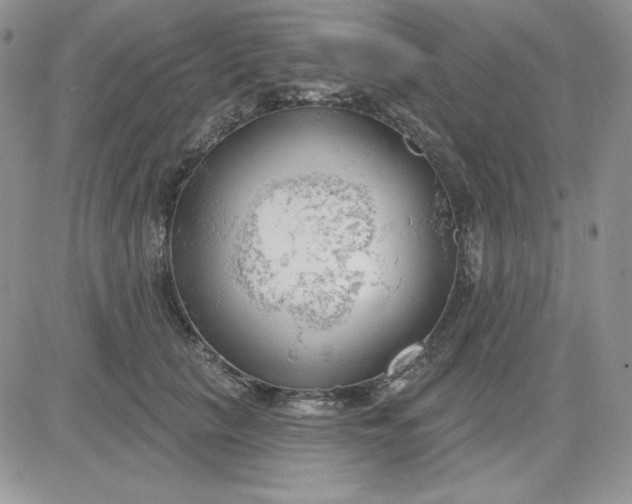 X0000081280657200701251629