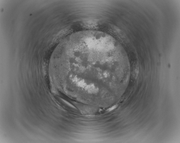 X0000081280658200701251629