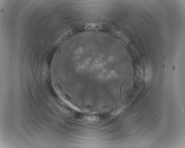 X0000081280659200701251629