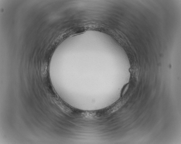 X0000081280660200701251629