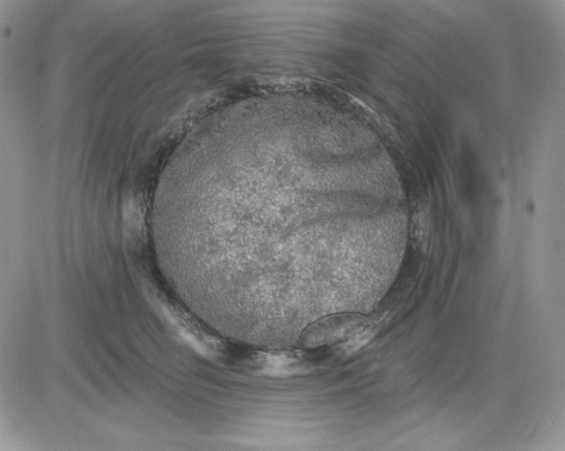 X0000081280662200701251629