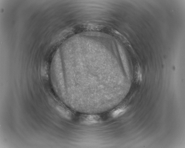 X0000081280663200701251629